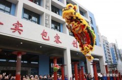 醒狮贺岁，武汉贤宇农业生态工程有限公司2019年开工大吉