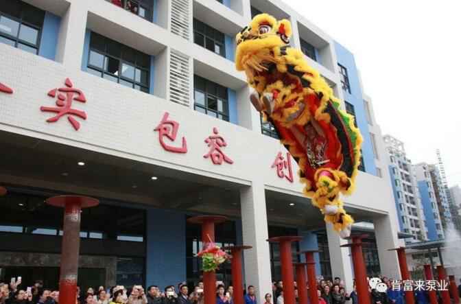 醒狮贺岁，武汉贤宇农业生态工程有限公司2019年开工大吉